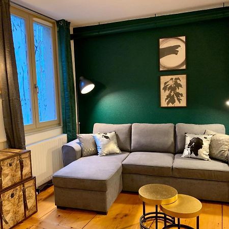 Appartements Des 2 Tetes Colmar Eksteriør billede