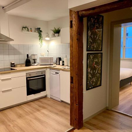 Appartements Des 2 Tetes Colmar Eksteriør billede