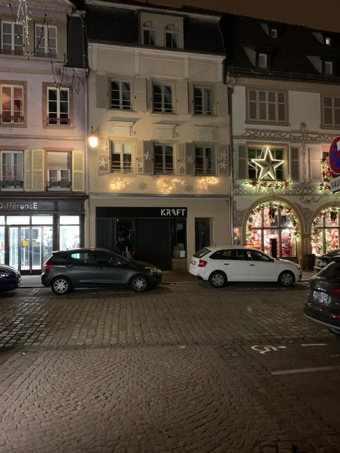 Appartements Des 2 Tetes Colmar Eksteriør billede