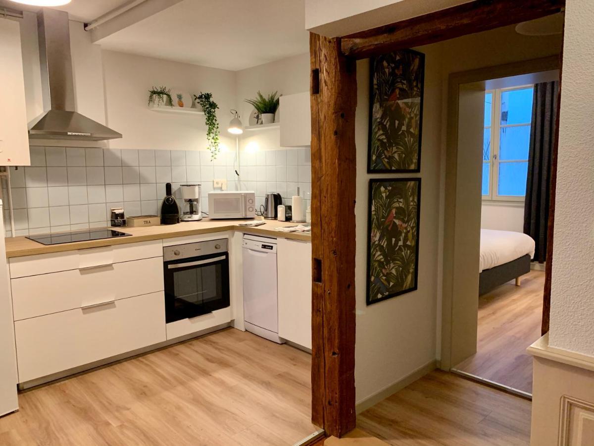 Appartements Des 2 Tetes Colmar Eksteriør billede