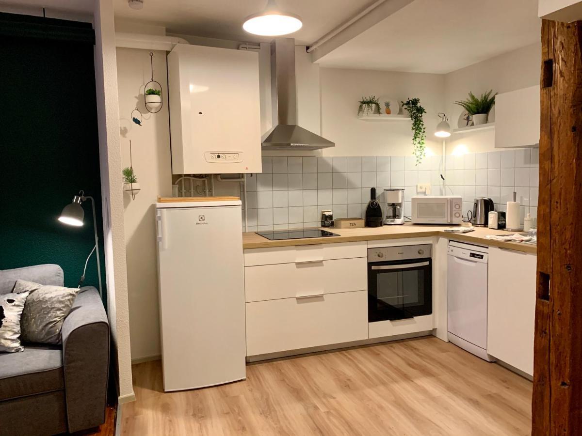 Appartements Des 2 Tetes Colmar Eksteriør billede