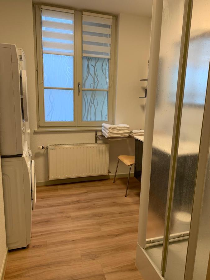 Appartements Des 2 Tetes Colmar Eksteriør billede
