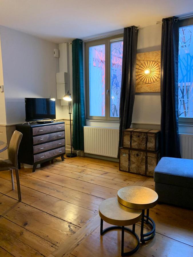Appartements Des 2 Tetes Colmar Eksteriør billede